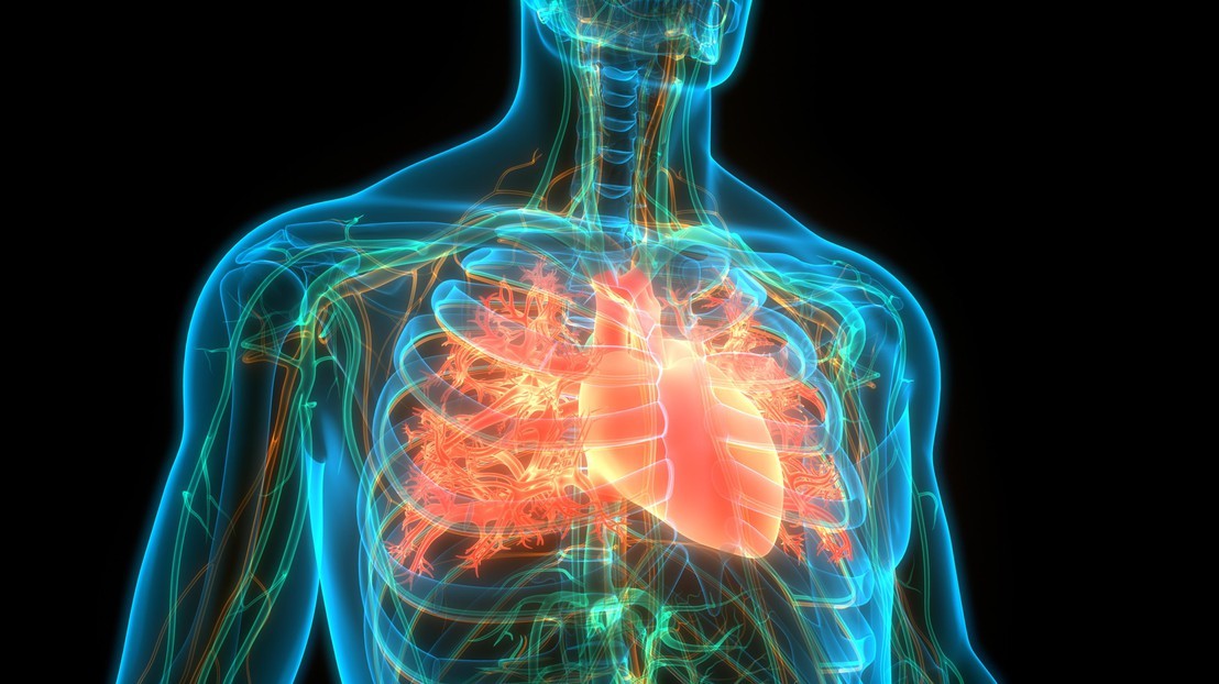 Cardiology and Shock